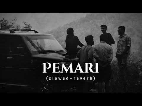 Pemari [Slowed & Reverb] | Hit Song | Villain Theme | Slowed Song Katta