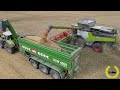 Claas Lexion 8900 TT / 1380 Convio / 18.000 L Korntank / Hawe ULW 4000 / Original Sound