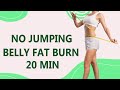 20-MIN BELLY FAT BURN FOR BEGINNERS - NO JUMPING HOME WORKOUT