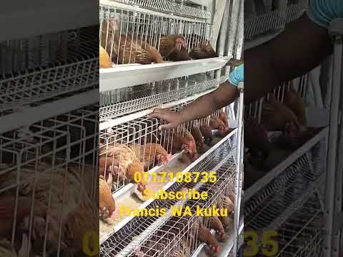 Disability Beyond Ability 0717108735