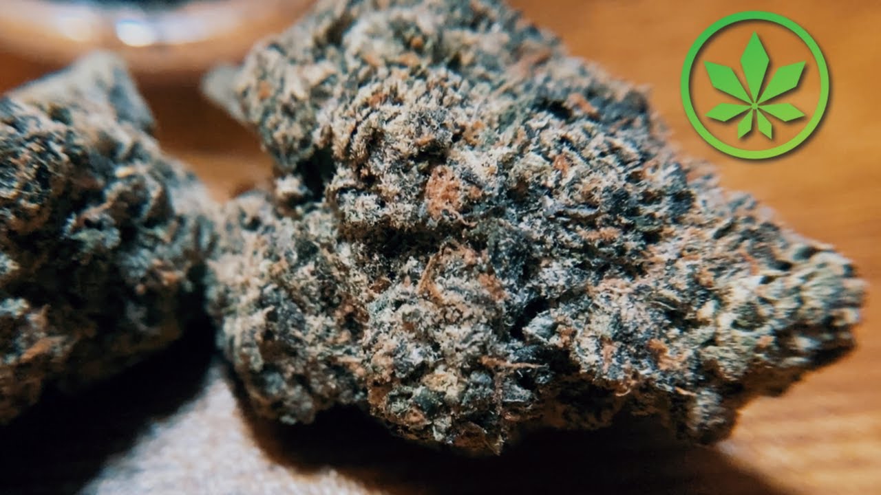 Permanent Marker THCa Flower by A Better Dispensary! YouTube