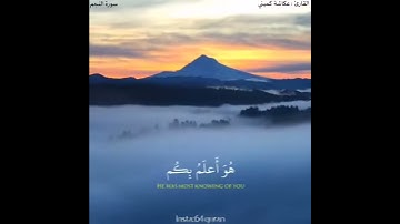 تلاوة ممتعة مع الشيخ عكاشة كاميني