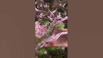 Day 3 of Joining MY Fan Code Until I See At Least 1 Person!