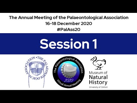 #PalAss20 Session 1