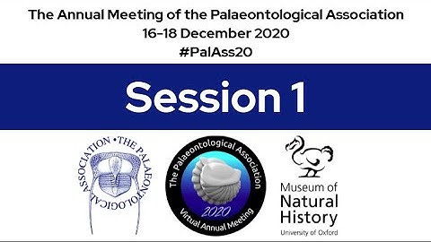 #PalAss20 Session 1