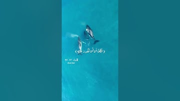 وذا النون إذ ذهب مغاضبا ❤️ تلاوات خاشعة قصيرة 🧡القران الكريم💛 اسلام صبحي 💚Love Quran💙