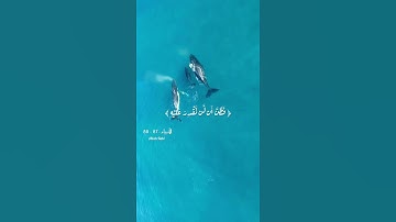وذا النون إذ ذهب مغاضبا ❤️ تلاوات خاشعة قصيرة 🧡القران الكريم💛 اسلام صبحي 💚Love Quran💙