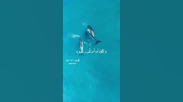 وذا النون إذ ذهب مغاضبا تلاوات خاشعة قصيرة القران الكريم اسلام صبحي Love Quran 