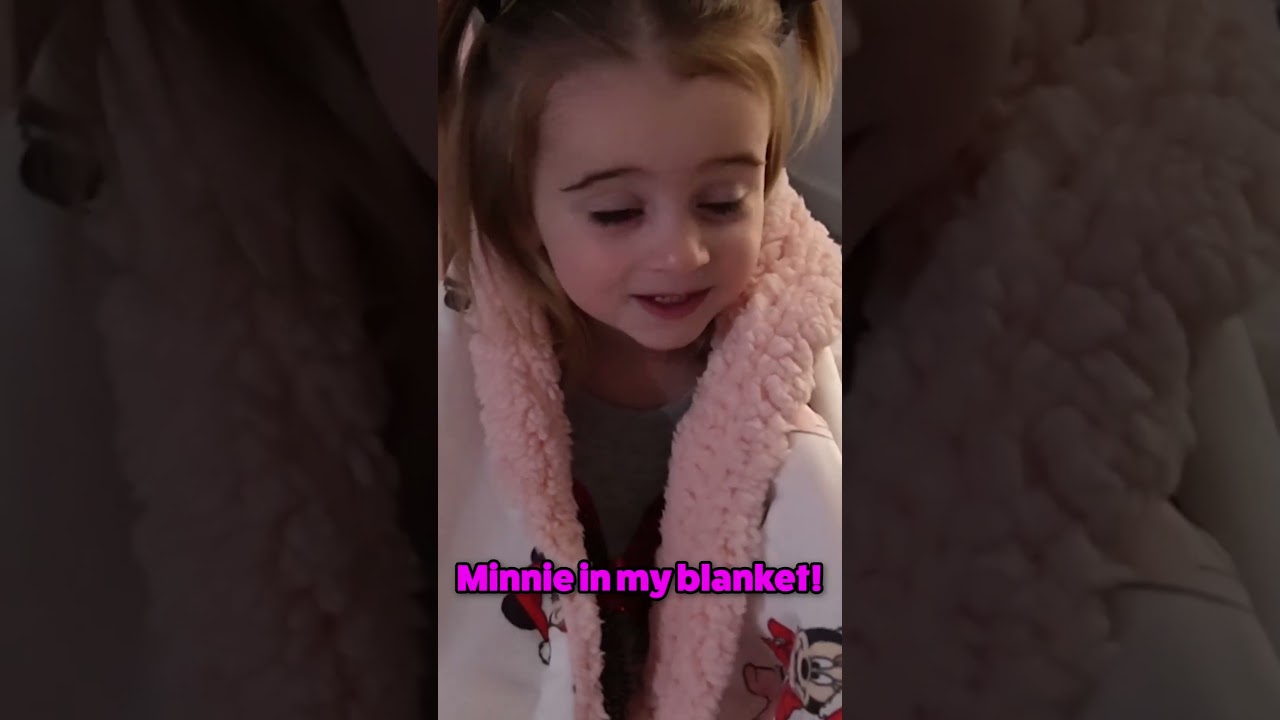 Toddler Flies On The Plane
