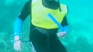 Cancun coral reef snorkeling cleaning