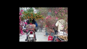 Nghỉ lễ 2026: Tết Âm lịch 9 ngày, Quốc khánh 5 ngày