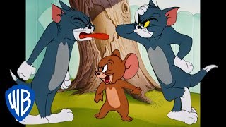 Tom & Jerry | Just Like Siblings | Classic Cartoon Compilation | @WB Kids