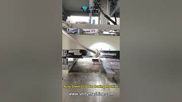 Vility Precision Automatic Sheet to Sheet CCD Die-Cutting Machine for FPC #vility #diecutting
