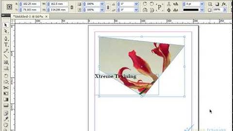 Adobe Indesign Tutorial in Tamil  | Tool Box and Selection Tools