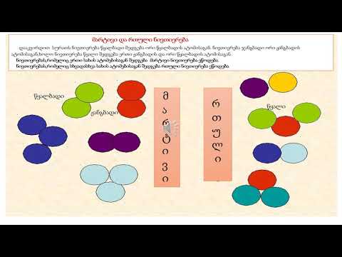 რისგან შედგება ნივთიერება