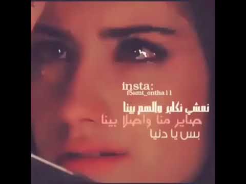 فيديوهات انستجرام