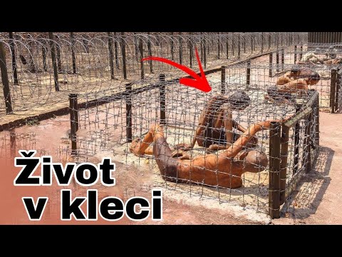 Video: Odkiaľ sa v prírode berú šesťuholníkové štruktúry?