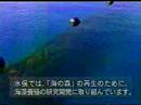 水俣漁協組合CM