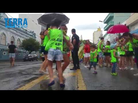 Blocos desfilam no domingo de carnaval em Pouso Alegre