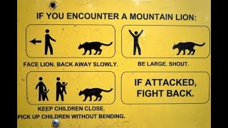 Tips on wild animals attack जंगली पशु से बचने के सुझावों in Hindi