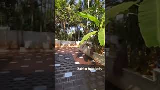 Spanish interlock #courtyardhouse #construction