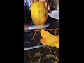 PAPAYA DAY
