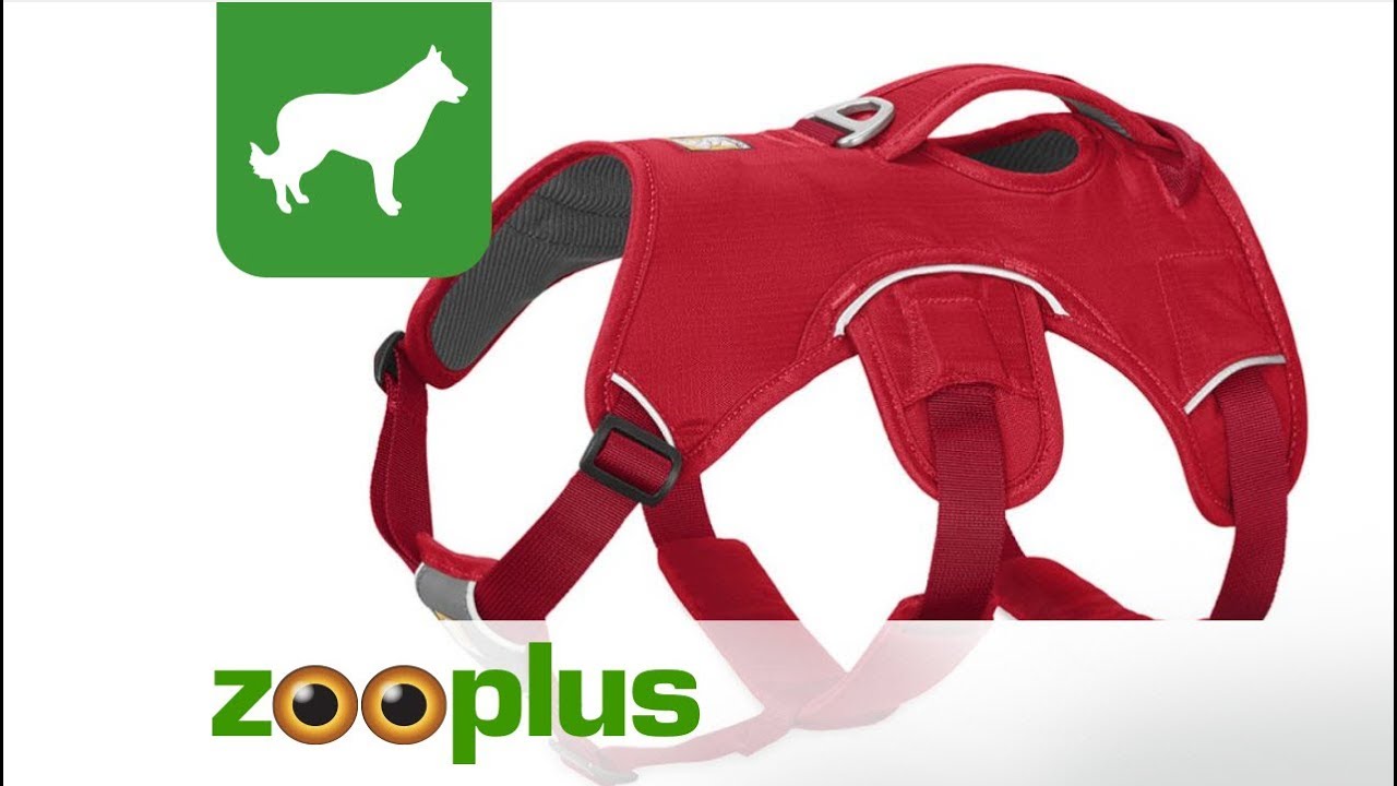 zooplus dog harness