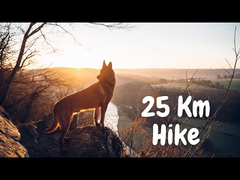 Video: Suņu pārgājieni ar savu nezināmo cilvēku caur 6000 kalnaino mežu malām