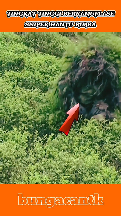 camouflaged as bushes😱#hanturimba #tni #trending #news #shortvideo