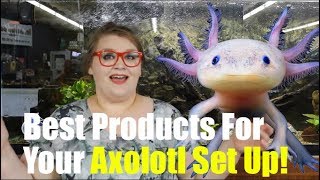 Recommended Products for an Axolotl Set Up