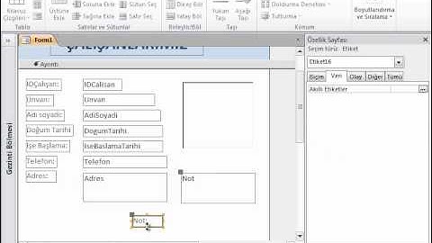 MİCROSOFT ACCESS 2010 VİDEO EĞİTİMİ-5