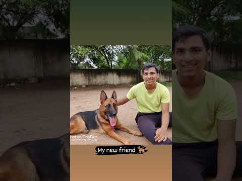 please help street dogs for food #saideep vlogs telugu