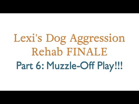 Lexi's Dog Aggression Rehab FINALE: Part 6