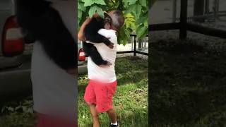 Chimpancé se pone muy feliz al ver a sus dueños #animales #reencuentros #viral