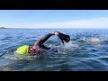 Заплыв в Соловецком архипелаге. Самый необычный заплыв в Мире - заплыв на краю Земли