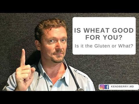 Is Wheat Good For You? What about other Grains? Is it the gluten or what?