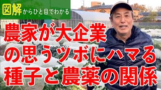 【「食」図解】農家が大企業の思うツボにハマる、種子と農薬の関係【人と食の大問題①】