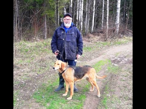РГ Жалейка вл. Валерий Бородин г. Йошкар-Ола.