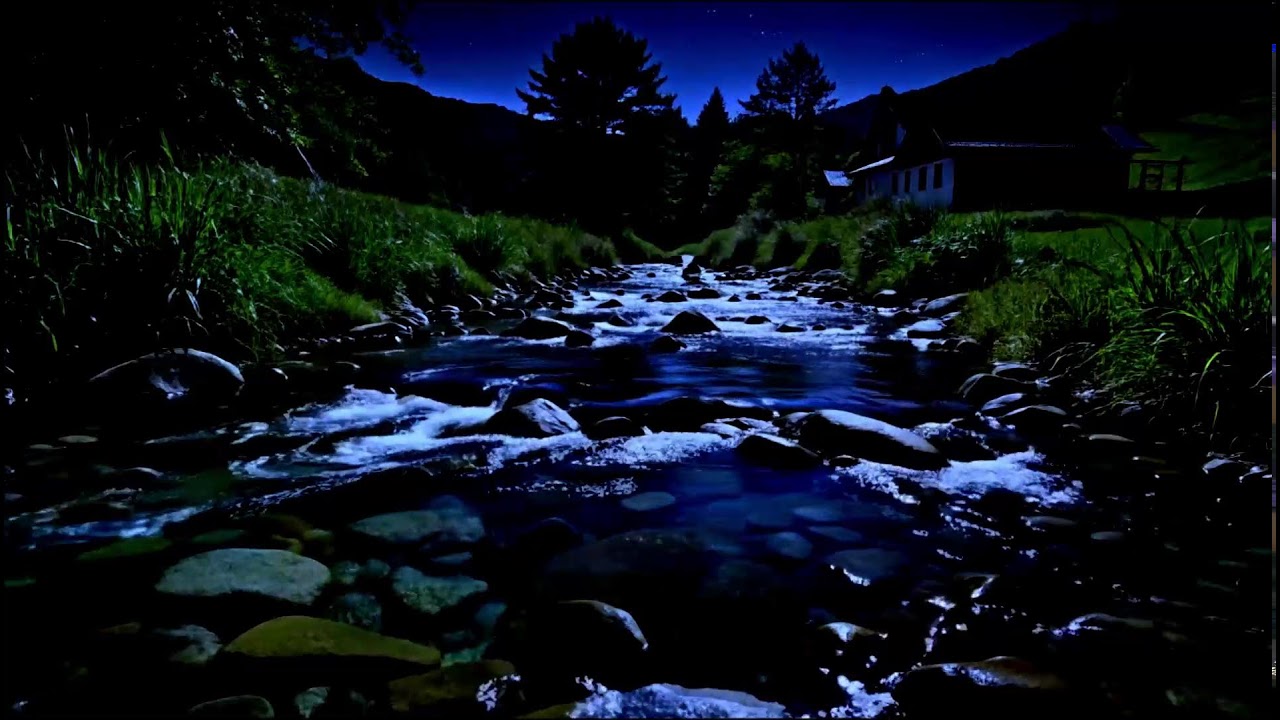 Soothing Night River Sounds 🌌 Crickets & Gentle Water Flow | Relaxing White Noise for Better Sleep