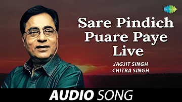 Sare Pindich Puare Paye - Live | Jagjit Singh | Old Punjabi Songs | Punjabi Songs 2022