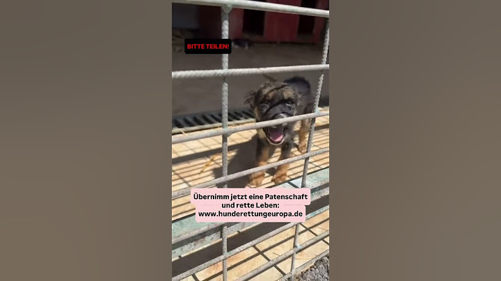 🚨 LIVE aus der Tötungsstation! 💔