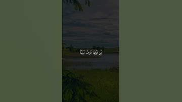سورة الزمر- القارئ #صالح_الانصاري #قرآن #راحة_نفسية #اكسبلور #quran