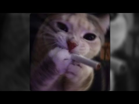 MAGIC! - Rude