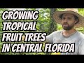 Growing tropical fruit trees in central florida