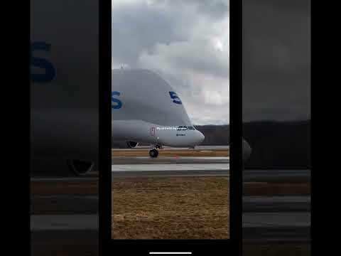 Airbus Beluga | #airbus #beluga #whale #aviation #aviationlovers #planespotting #plane #bigboy