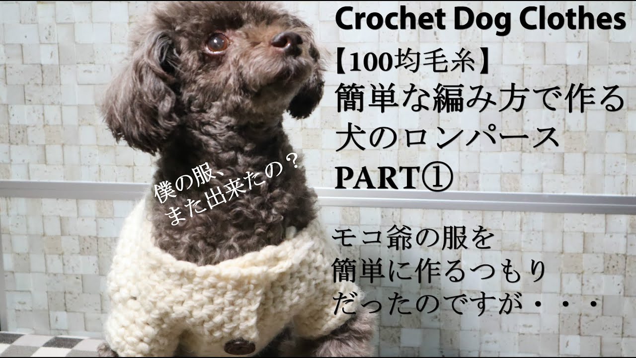 100均毛糸 簡単な編み方で作る犬のロンパースpart 編み始めました Crochet Dog Clothes 犬服作り方 Youtube