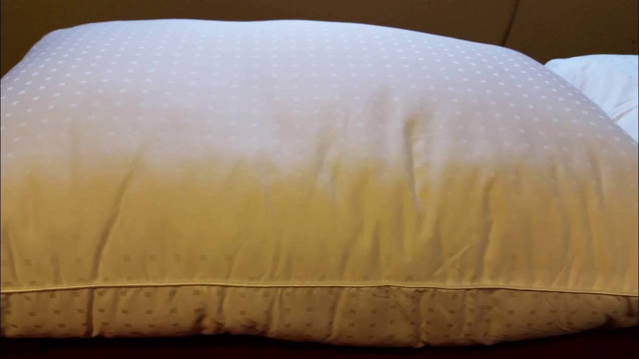 OXA Spring Pillow YouTube