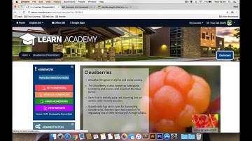 Free Moodle Training 10: Creating interactive content using H5P