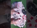 Painted Line Art Chalk Blocks | Crushing &amp; Sifting ASMR | Ultimate Stress &amp; Tension Relief