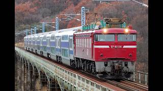 EF81配給(サロE531系)